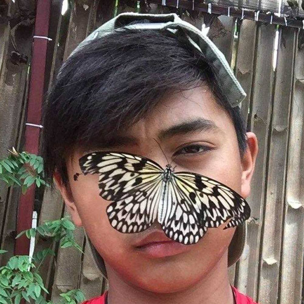 Meet your Posher, Erbin